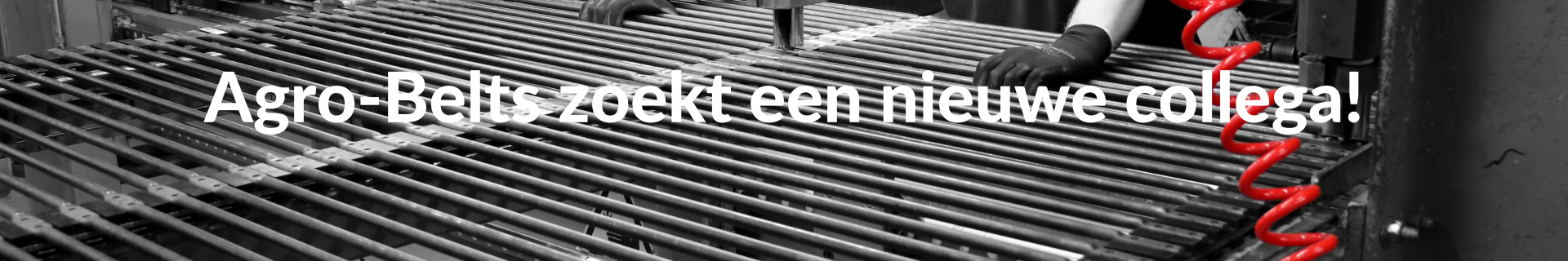 Agro Belts vacature